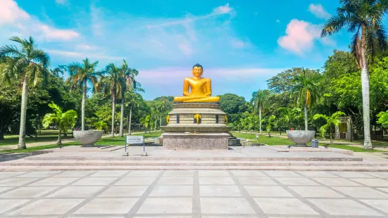 維哈馬哈德維公園