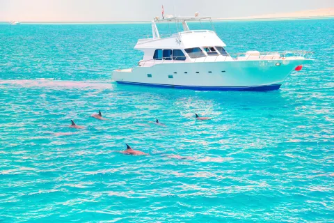 JERVIS BAY WILD CRUISES
