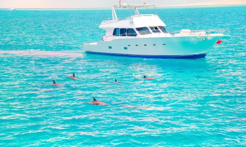 JERVIS BAY WILD CRUISES