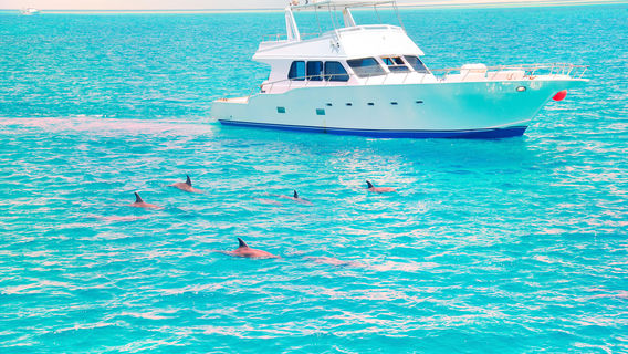 JERVIS BAY WILD CRUISES