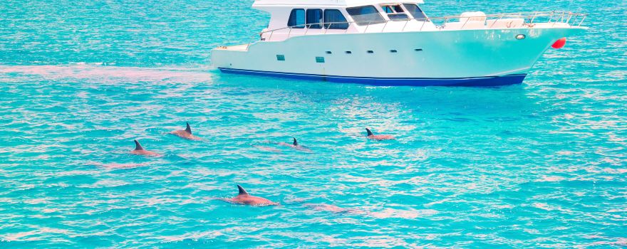 JERVIS BAY WILD CRUISES
