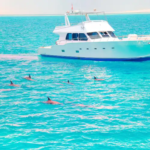 Popular Best Things to Do in Jervis Bay