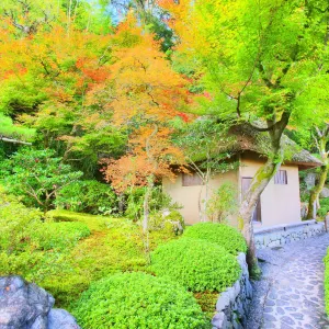 華嚴寺(鈴蟲寺)