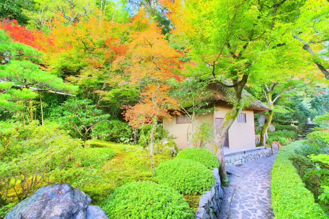 Hotels near Kegon-ji (Suzumushi-dera) Temple
