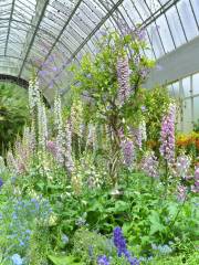 Winter Garden Auckland Domain