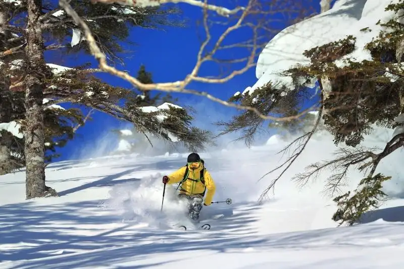 Kagura Snow Resorts
