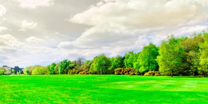 Wimbledon Common