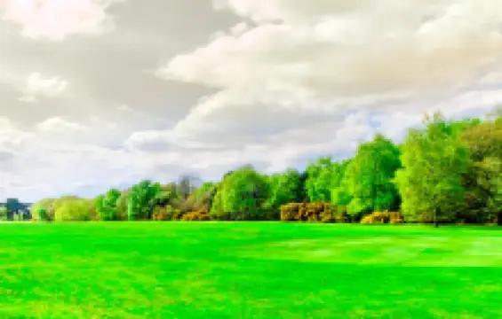 Wimbledon and Putney Commons