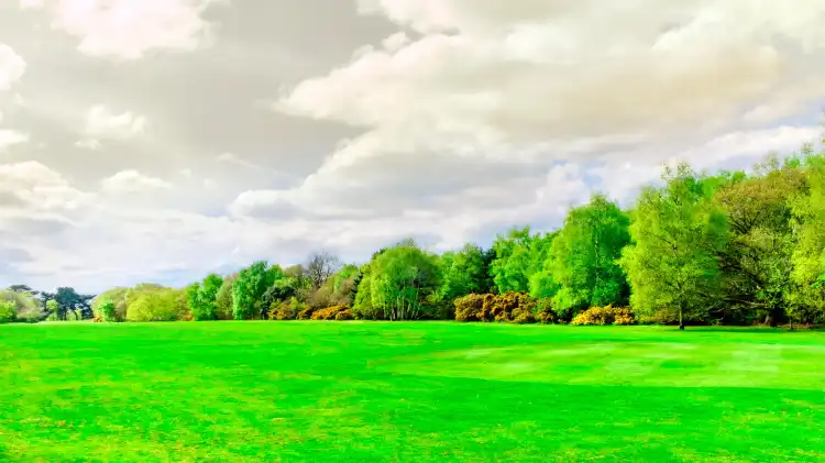 Wimbledon
