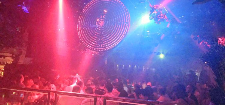Pacha's