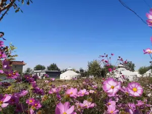 印象西海風情園