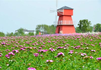 Tongxin Huahai ("Sea of Flowers")