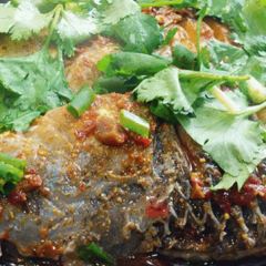 Zhuge Grilled Fish (haiyan) User Photo