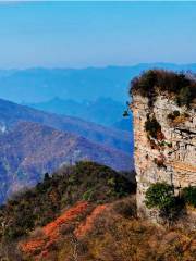 Daba State-owned Forest Farm, Nanjiang County