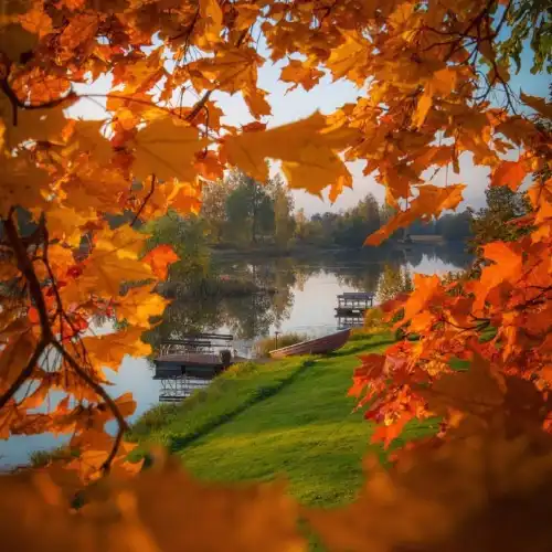 Popular Fall Viewing Attractions in Helsinki