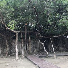 An Ping Shu Wu Café User Photo