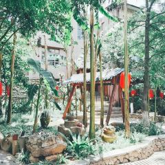彝米水乡 User Photo