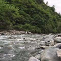 汶川杨八妹民宿 여행 사진