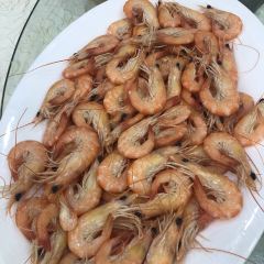 崖口人家 User Photo