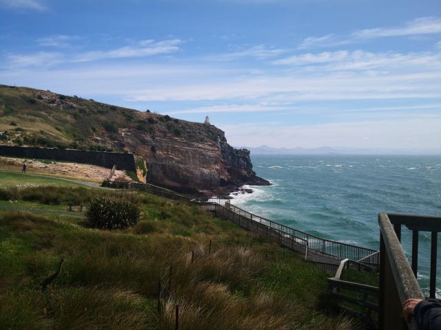 Dunedin