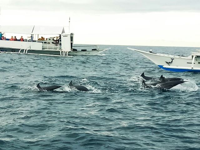 Balicasag Island