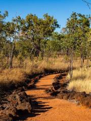 Parque nacional Undara Volcánico