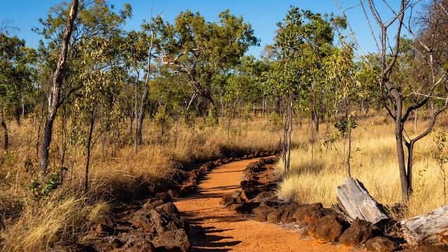 Undara Volcanic National Park