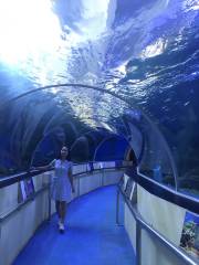 Waghor Aquarium