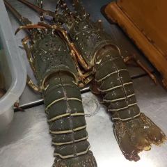 Kampong Kata Hill Thai & Seafood Restaurant User Photo