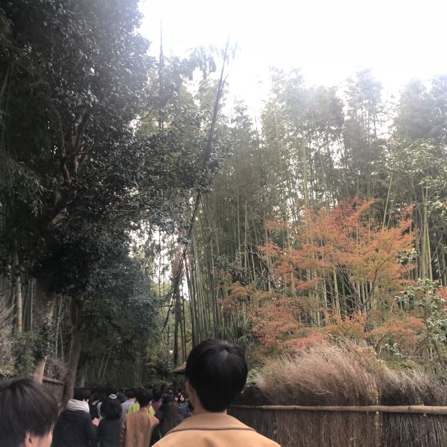 아라시야마