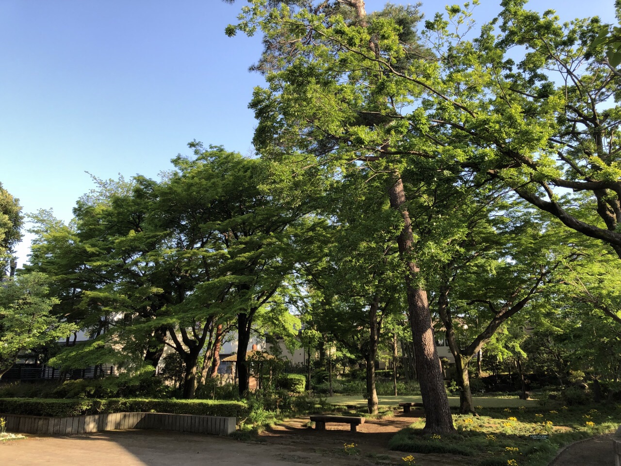 三鷹市山本有三紀念館旅遊攻略指南 三鷹市山本有三紀念館評價 三鷹市山本有三紀念館附近推薦 Trip Com 三鷹市山本有三紀念館旅遊攻略指南 三鷹市山本有三紀念館評價 三鷹市山本有三紀念館附近推薦 Trip Com