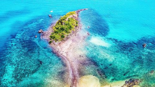 การเดินทางไประยอง