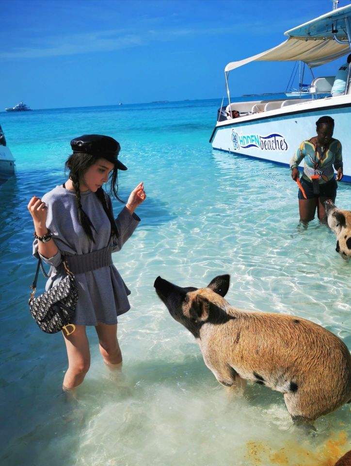 ピッグ ビーチ ブラック ポイント の旅行レビュー Trip Comトラベルガイド