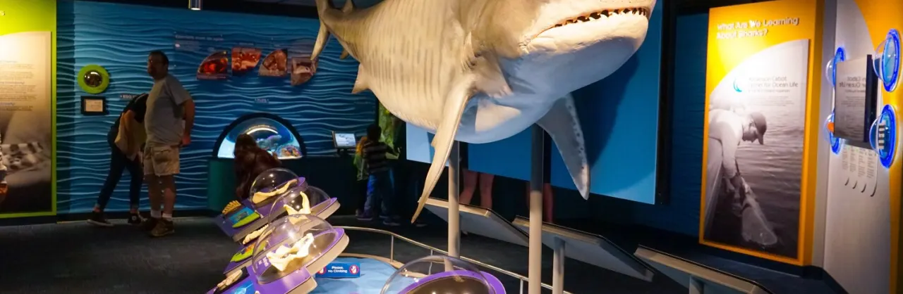 Family-Friendly Attractions