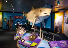 新英格蘭水族館