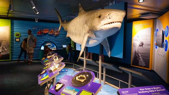 Аквариум Новая Англия