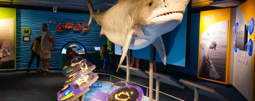 New England Aquarium