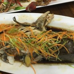 Sea Fish User Photo