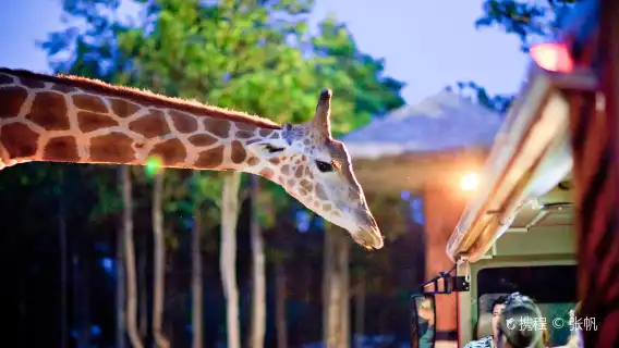泰國清邁夜間動物園【全區域門票丨可飯店接駁】