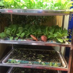 福照楼汽锅鸡饭店(龙腾店) User Photo