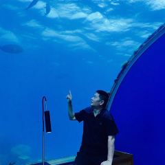 ITHAA UNDERSEA RESTAURANT ảnh của người dùng