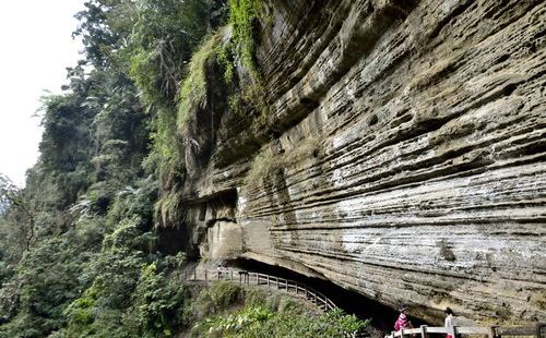 青年嶺環狀步道