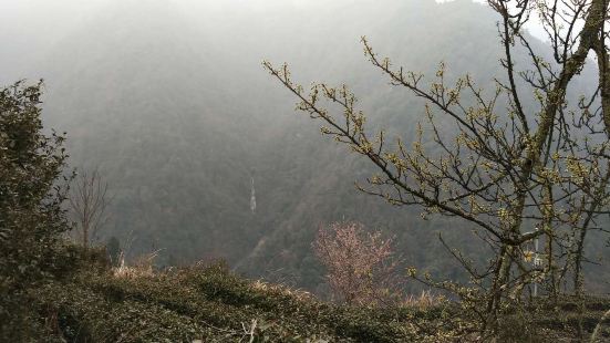 说炉岙是龙泉乡村旅游第一村想来没多少人反对，村子地理位置得天