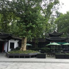 Yechun Teahouse User Photo