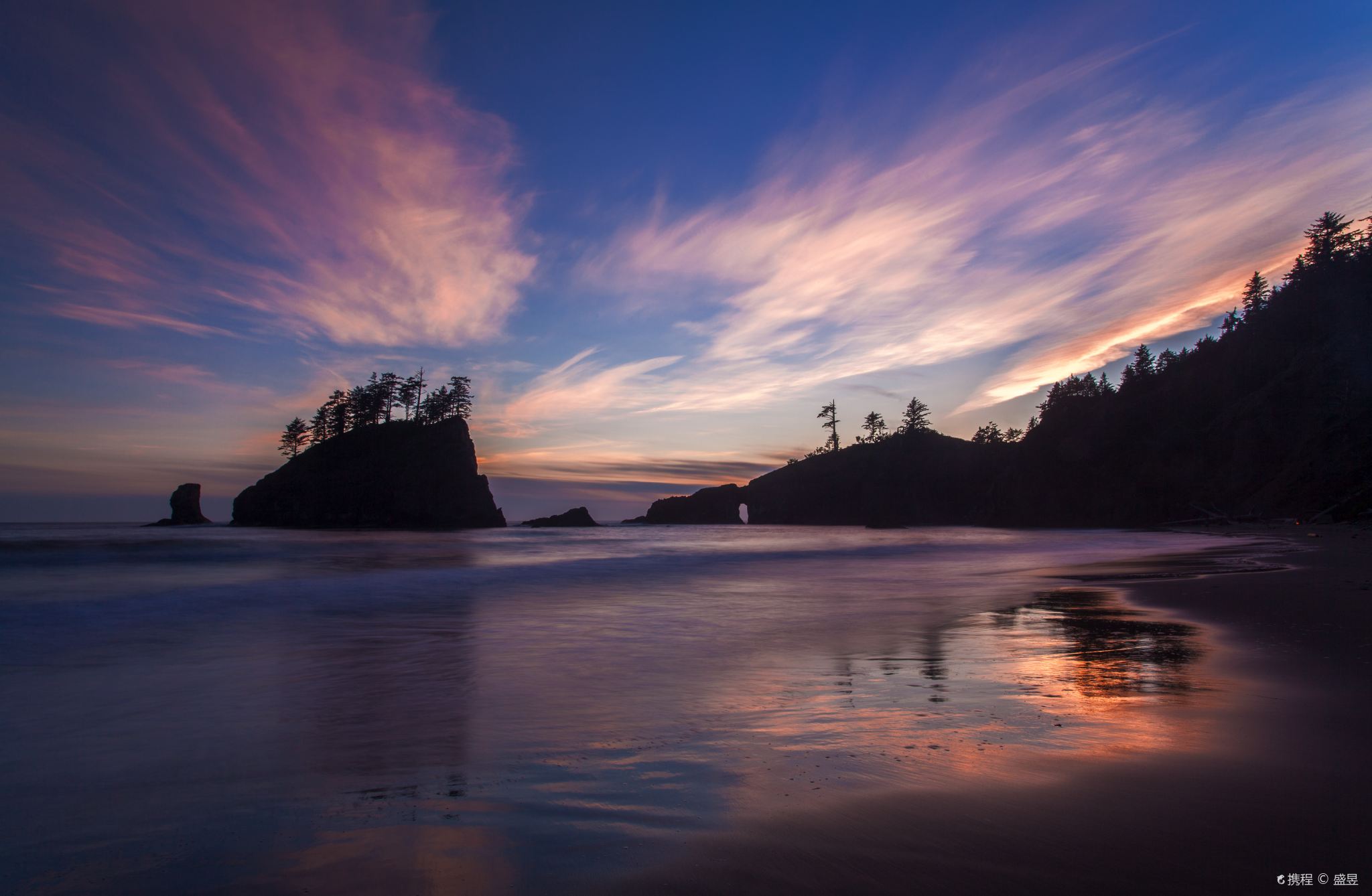 Seattle + Olympic National Park one-day tour[Seattle Round-trip]