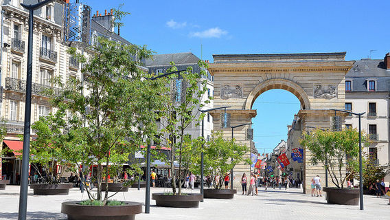 Dijon