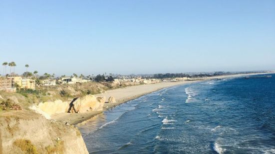 Pismo beach那里的风景非常美丽，那边的海鸟不是很怕