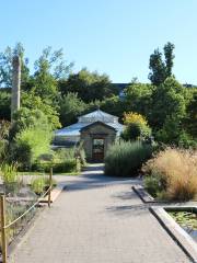 Jardin Botanique de l'université de Strasbourg