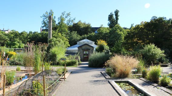 Botanical Gardens of Strasbourg University
