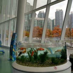 360 The Restaurant at the CN Tower User Photo